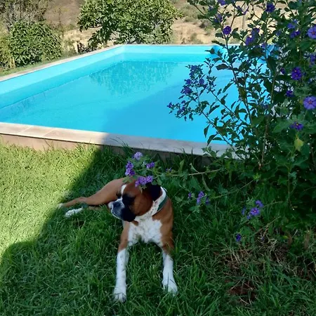 Holiday home Casa Barradinhas *